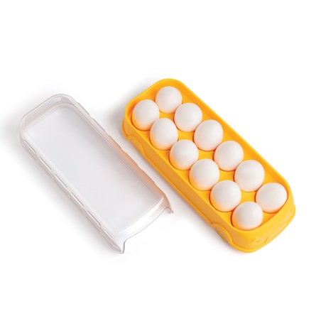 Scrambled Bus - boite à œufs